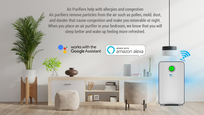 Early Bird Offer – UAE